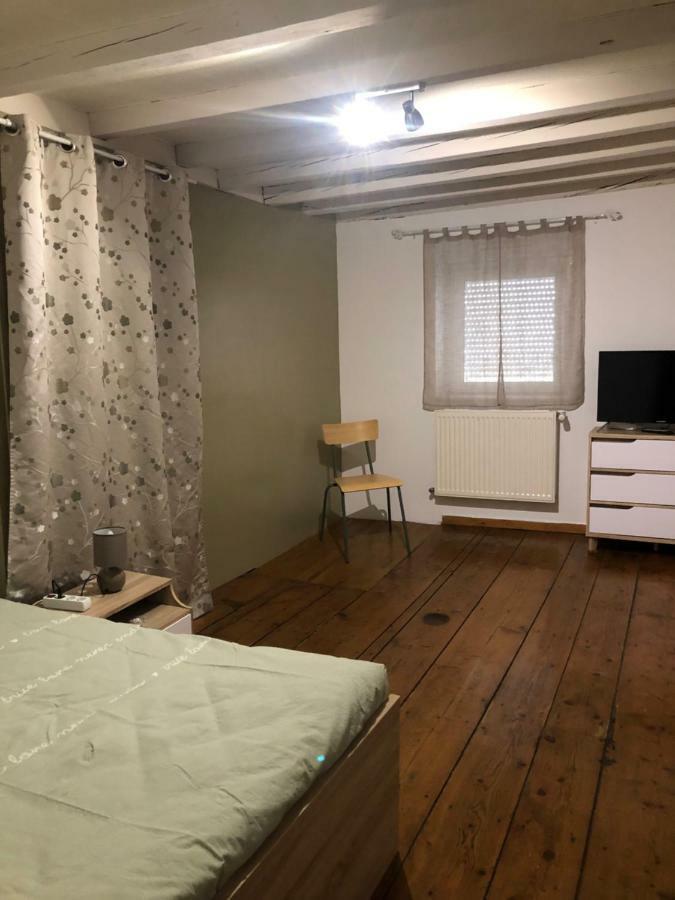 Spacieux Appartement 2/6 Pers 110M² Proche Cnpe Lagnieu Exterior photo